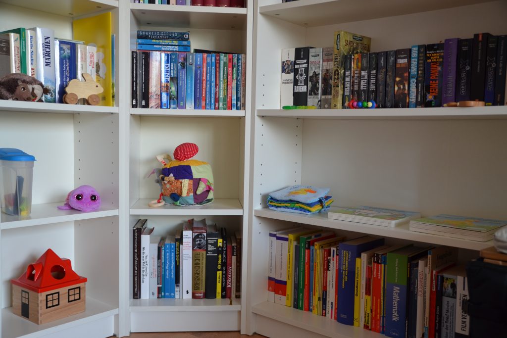The bookshelf play space