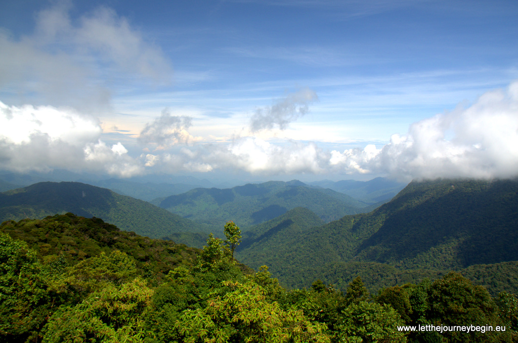 A panoramic view across the Cameron Highlands