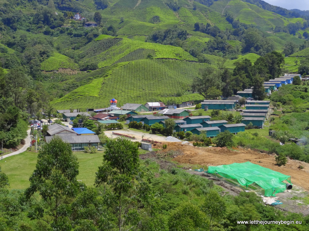 A village of tea plantation workers, Cameron Highlands