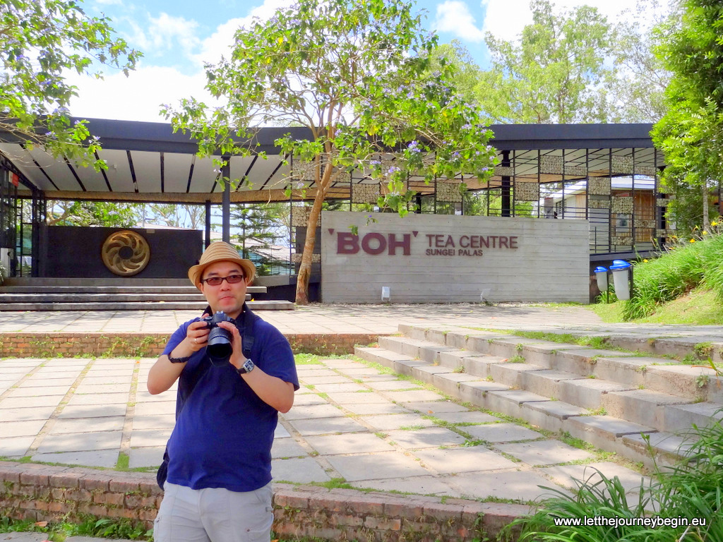 Daniel at the Boh Tea Centre