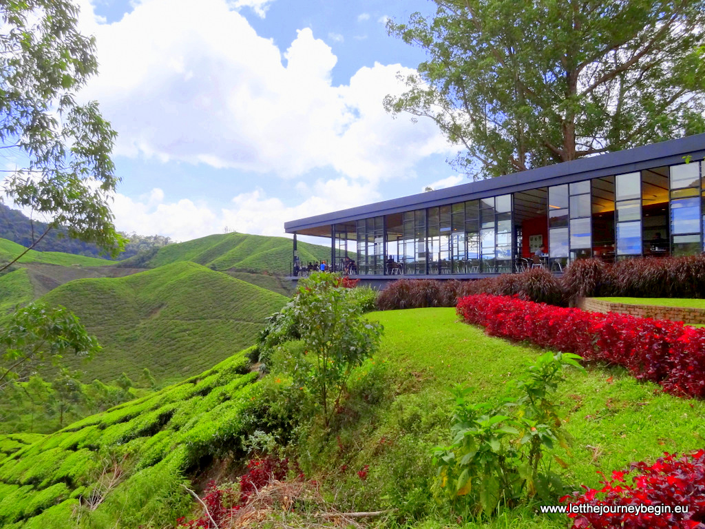 Boh tea plantation cafe at Cameron Highlands