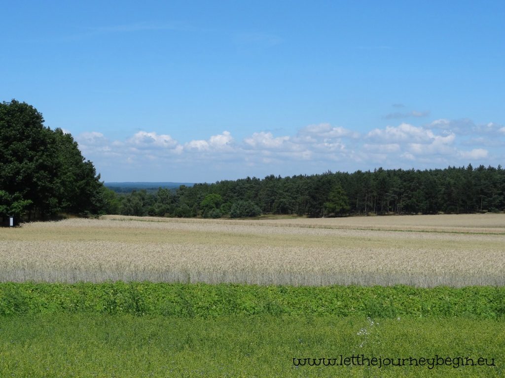 Fields in the nature preservation area showing different crops traditional to the region.