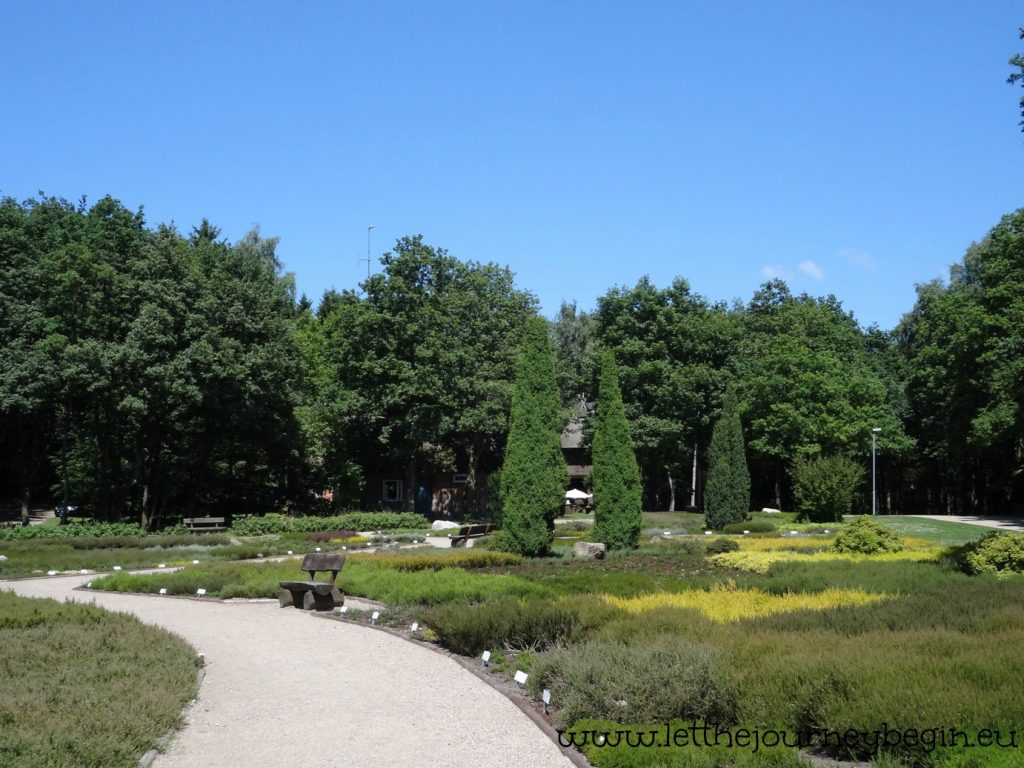 A garden in the town of Schneverdingen that shows the diversity of heather. And I used to think it was just one plant...