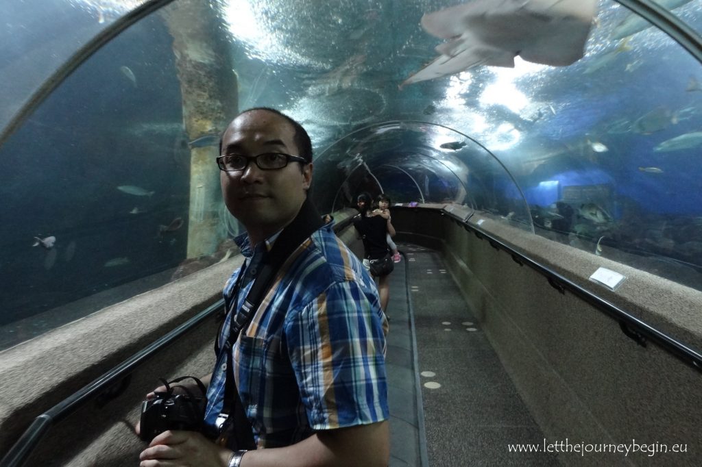 Singapore aquarium