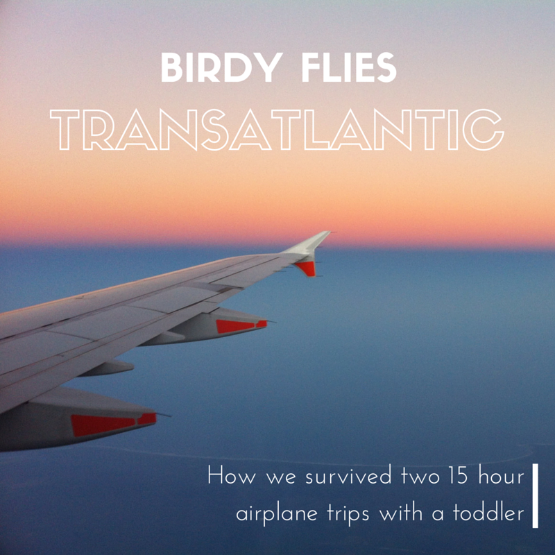 Birdy flies transatlantic