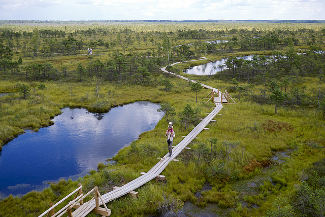 Explore Wild in - Let the Journey Begin