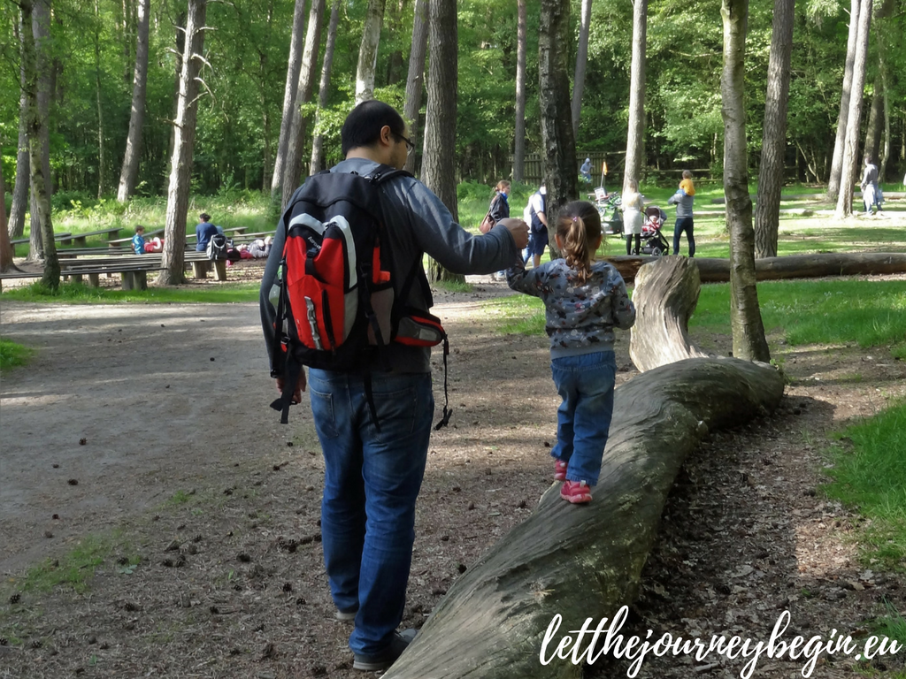 Family staycation in Hamburg - Klövensteen forest